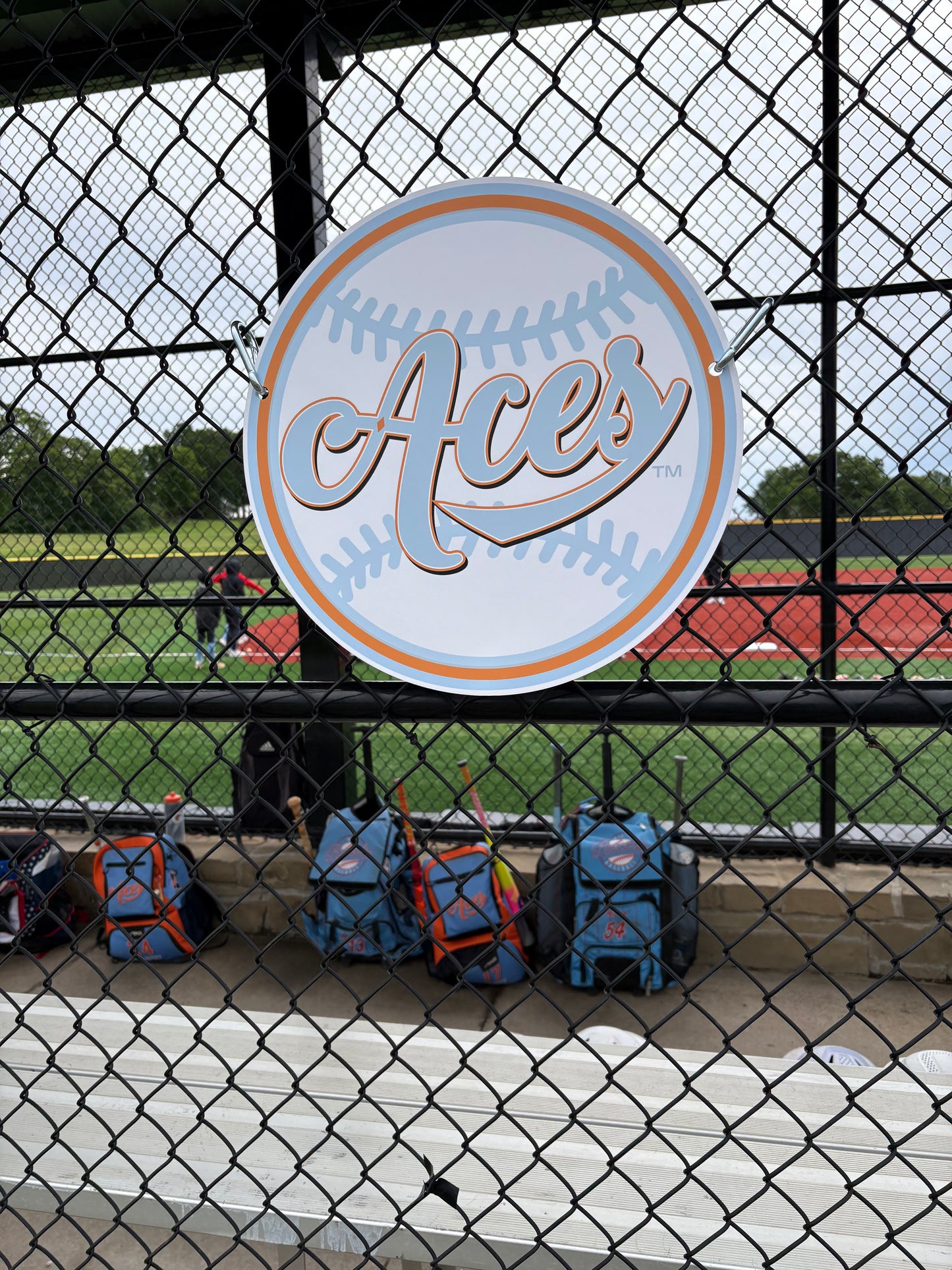 *Custom* Dugout Sign