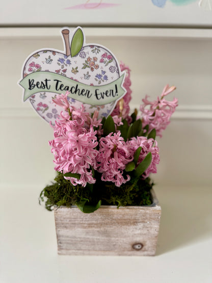 Apple Teacher Gift Wand